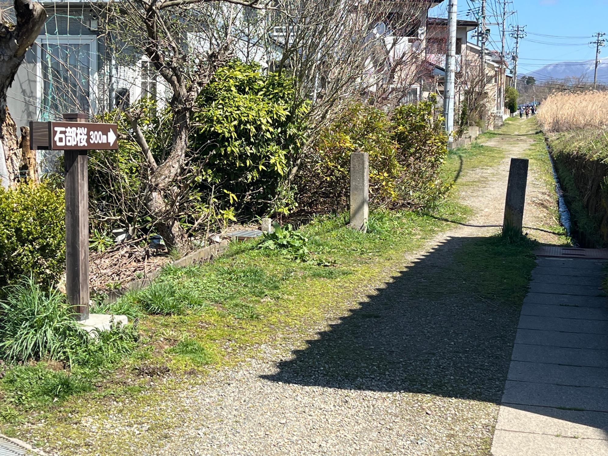石部桜 ルート