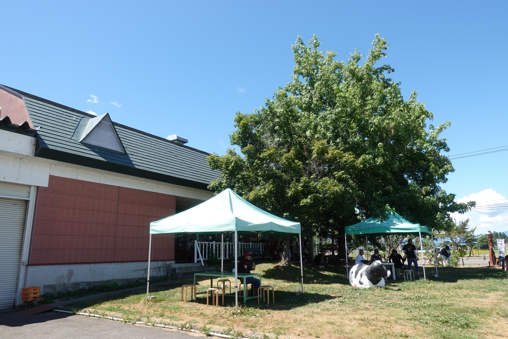 会津中央乳業 直売店 アイス牧場