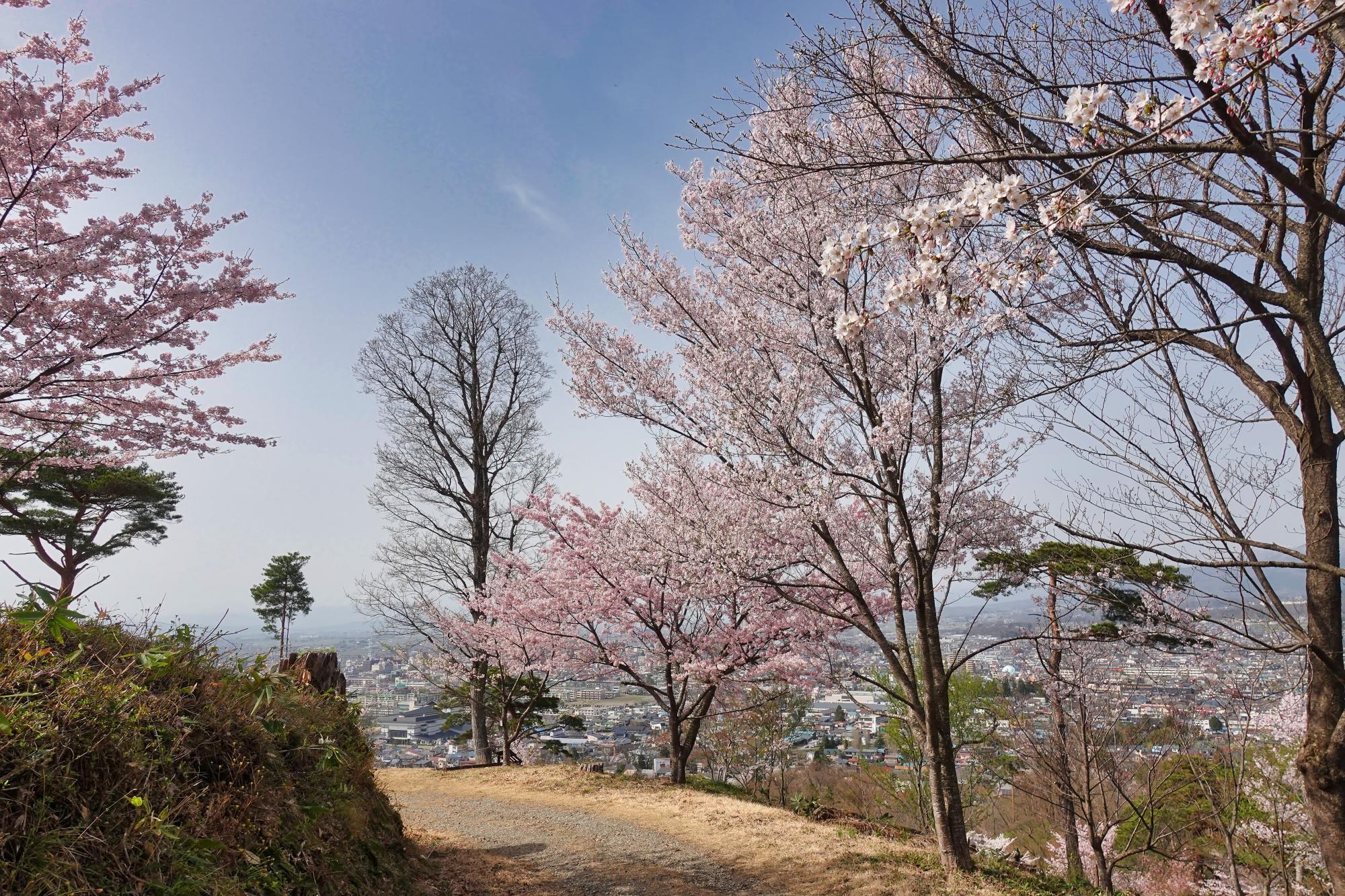 小田山 下山