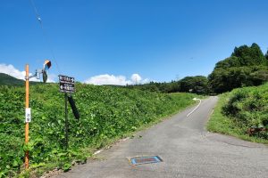 龍ヶ沢湧水ルート すぐに左折