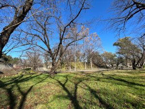 若松城城址公園