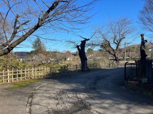 若松城城址公園