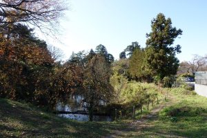 若松城城址公園