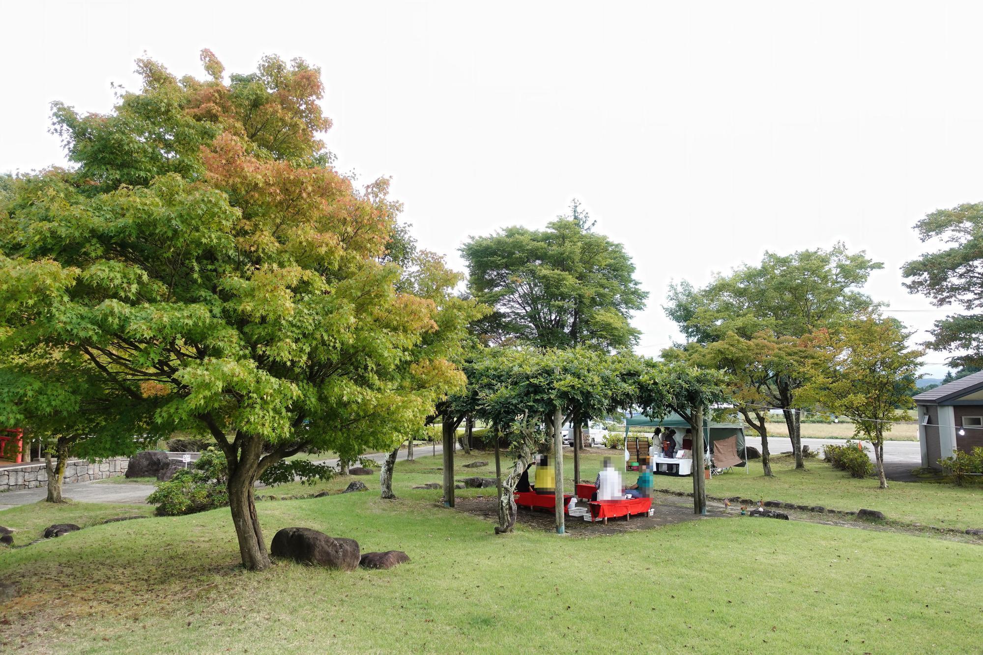 慧日寺資料館 点茶 耶麻郡 磐梯町