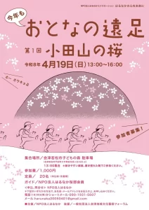 おとなの遠足 第1回 小田山の桜