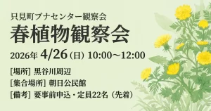 春植物観察会 01|イベント|2026-04-17