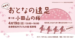 おとなの遠足 第1回 小田山の桜 01|イベント|2026-04-20
