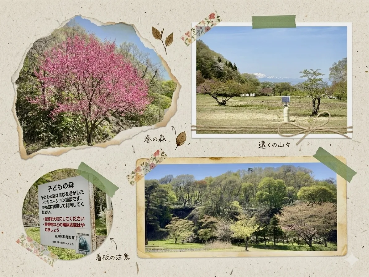 子どもの森 小田山 01｜施設｜2026-04-20