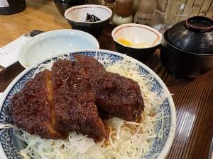 ソースカツ丼