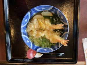 天ぷらうどん 01|写真|2026-10-04